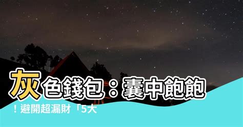 灰色銀包風水2023|灰色銀包風水：何種材質最吉利？